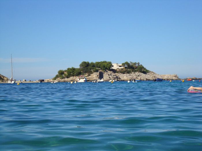 DSC04794