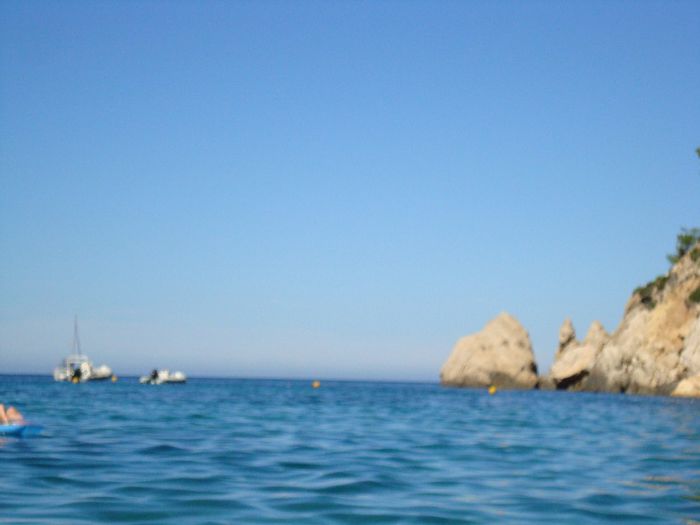 DSC04795