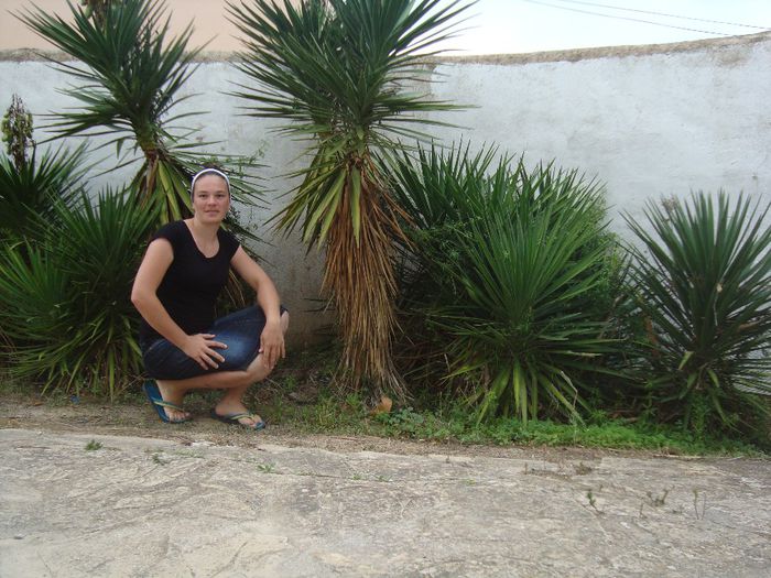 DSC04985