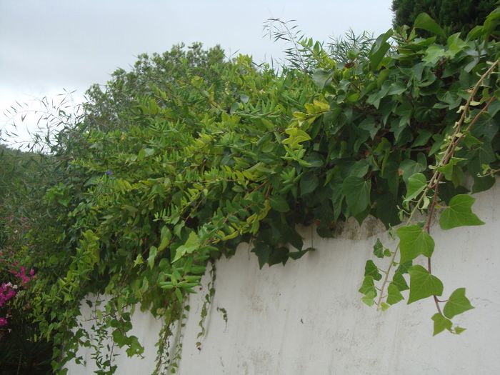 DSC05005