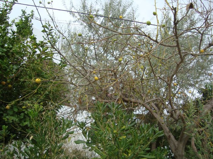 DSC05126