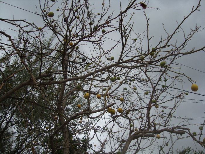 DSC05127