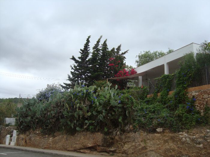DSC05140