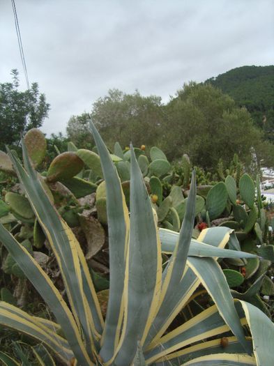 DSC05151