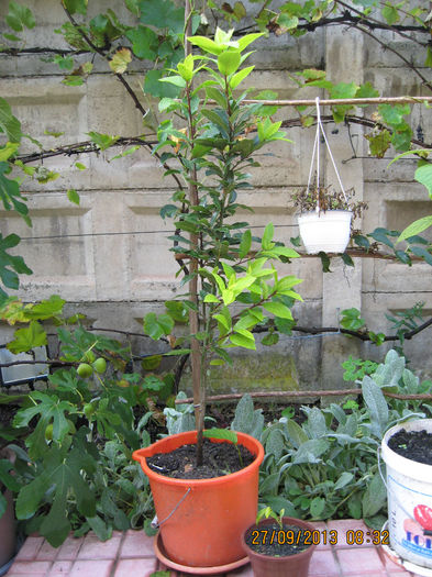 Ma retrag la caldura apartamentului.