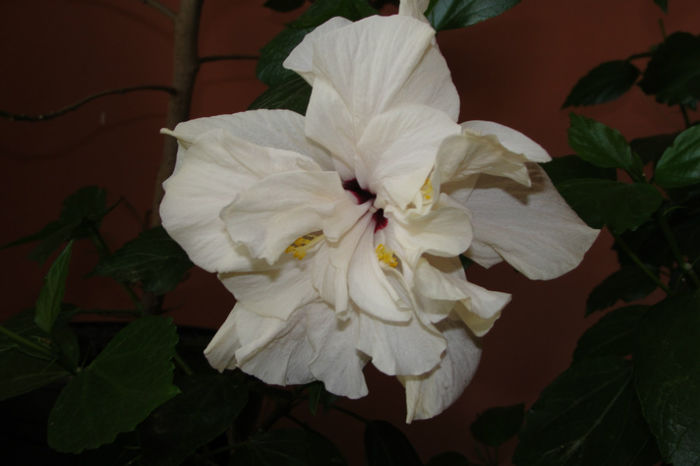 DSC05784