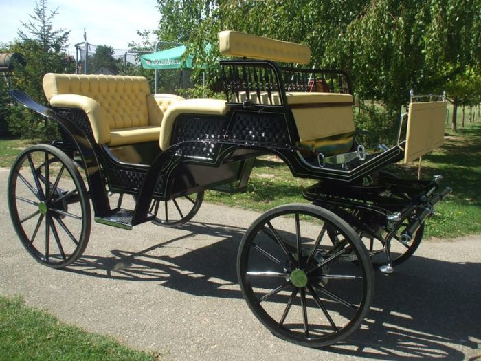 trasura de gala - w carriage-harnasse  for sale