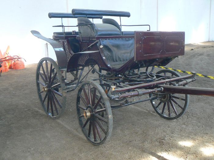 trasura de dresaj - w carriage-harnasse  for sale