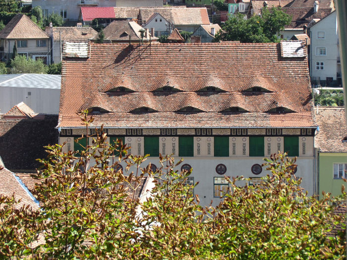 Sighisoara - Contact-Sighisoara