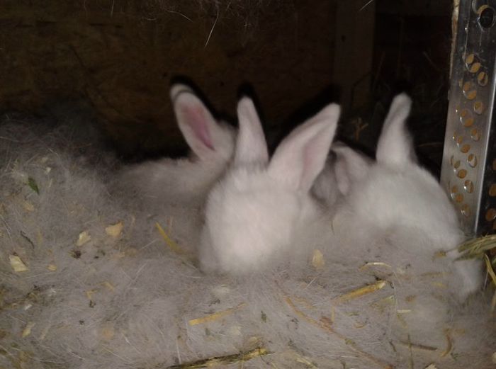 Photo-3564