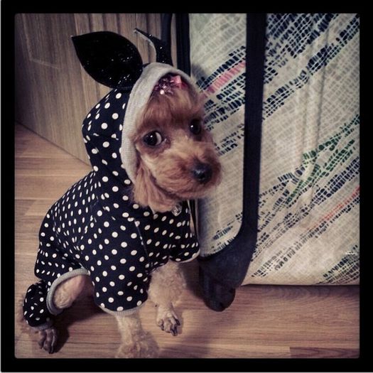 Minzy-IG-Update-131006-Dougie - 2NE1 8