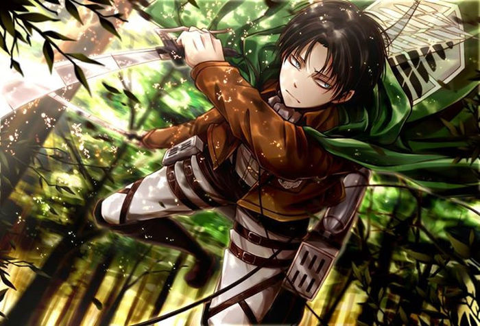 Levi-levi-rivaille-shingeki-no-kyojin-35166982-707-480 - Shingeki no kyojin