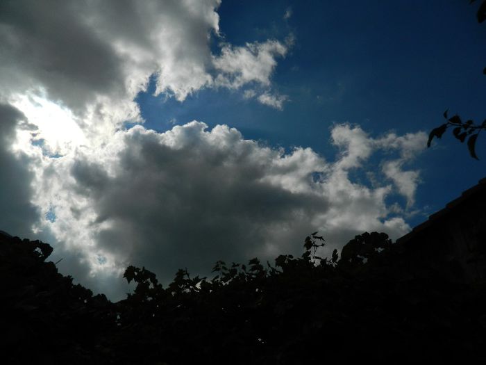 DSCN3552