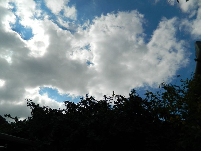 DSCN3587