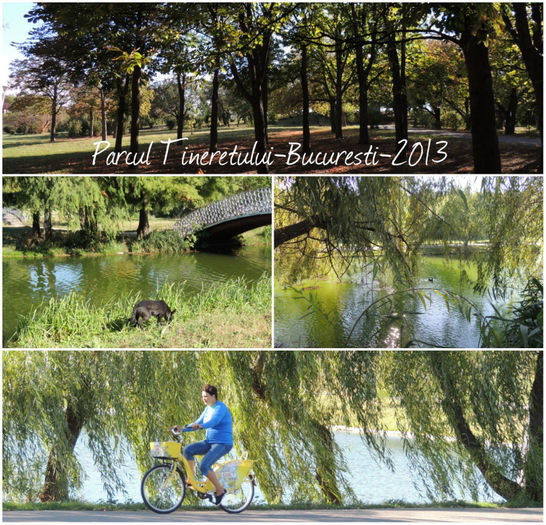 collage5 - PARCUL TINERETULUI-BUCURESTI