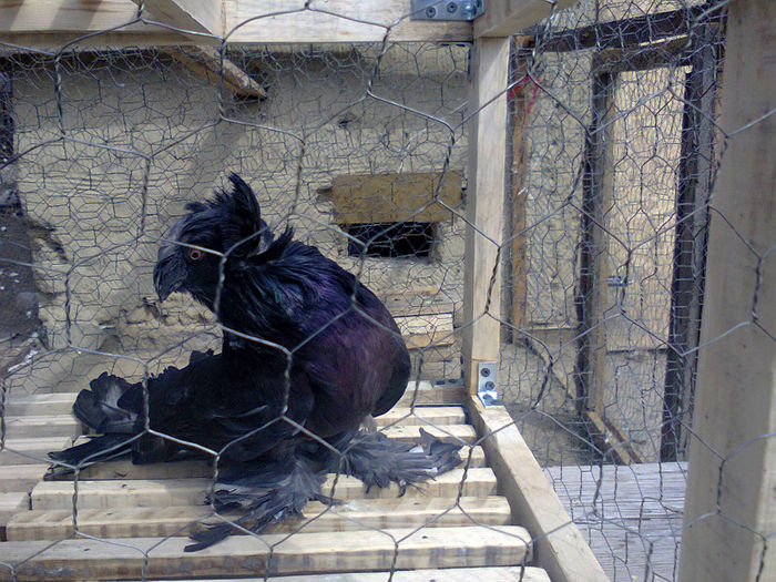 Photo0225 - tobosari de buhara