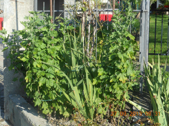 DSCN3057