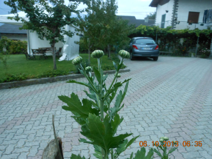 DSCN3292
