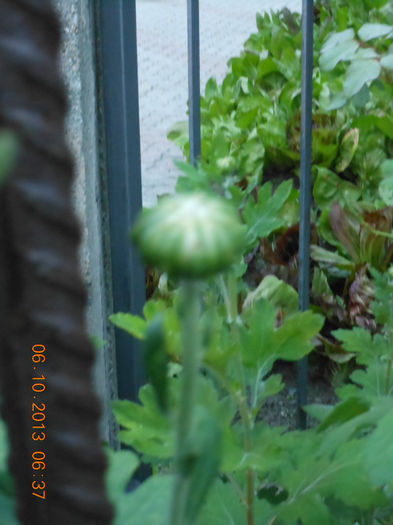 DSCN3298