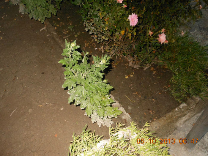 DSCN3339