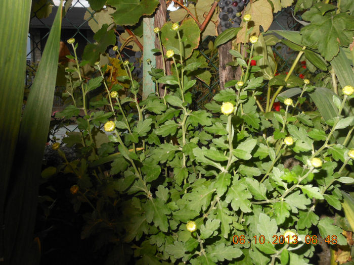 DSCN3344