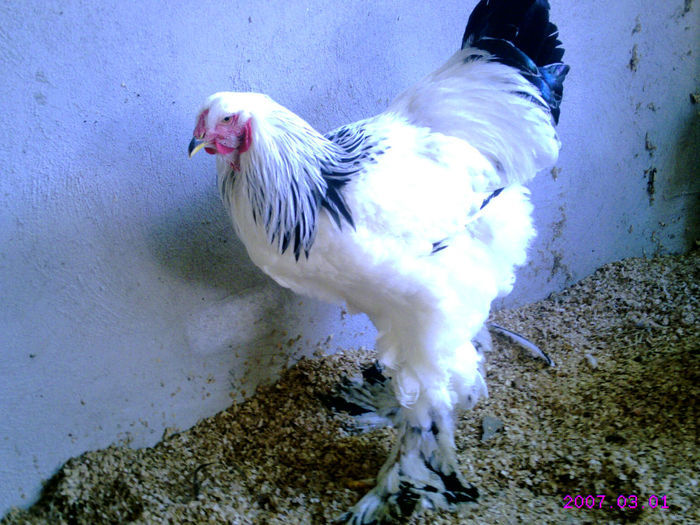 CRIM0051 - 2013 TINERET