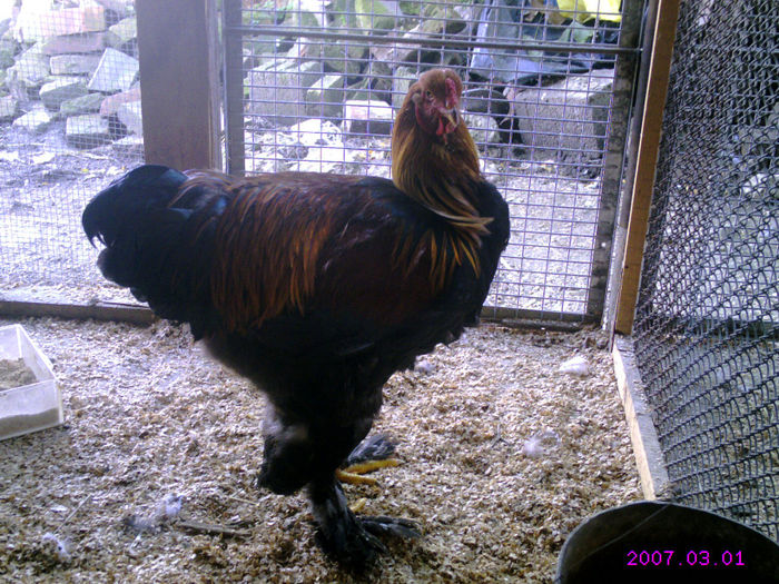 CRIM0026