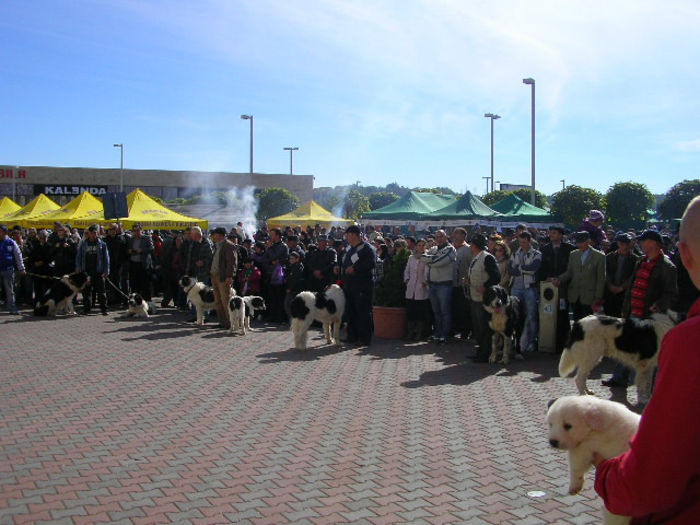 SANY1110 - Expozitie 6-10-13 mall suceava