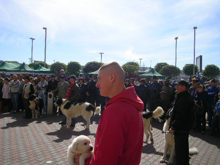 SANY1111 - Expozitie 6-10-13 mall suceava