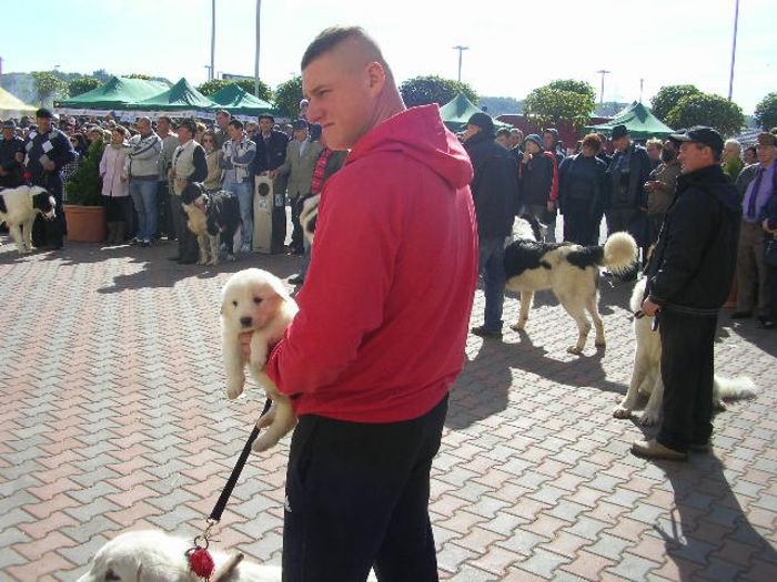 SANY1112 - Expozitie 6-10-13 mall suceava