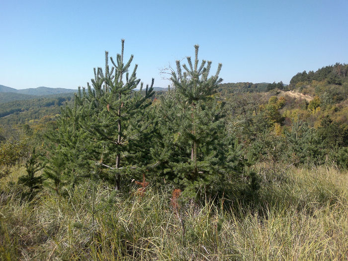 061020132905[1] - placerea de a face fotografii