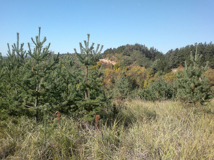 061020132904[1] - placerea de a face fotografii