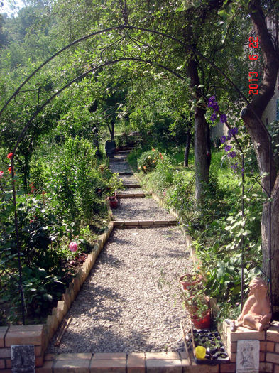 DSC04481 - VARA