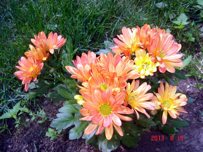 DSC04824 - VARA