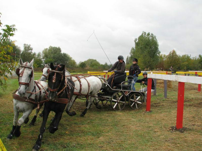 Tg Mures maraton 2012 - COMPETITION Bartha Eduard