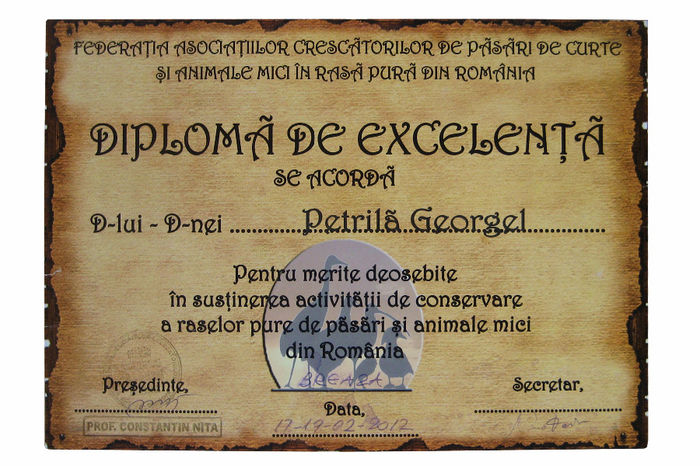 Diploma - Rezultate Expozitie