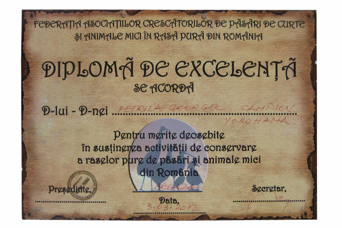 Diploma - Rezultate Expozitie