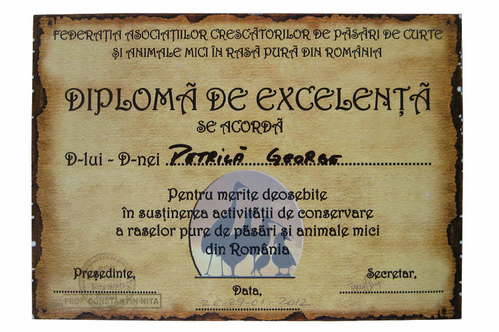 Diploma