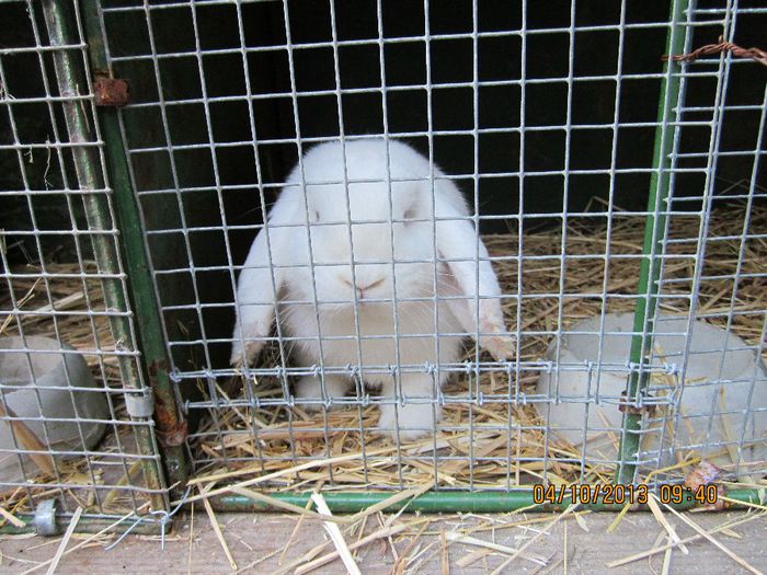 IMG_1328 - Expozitia din Rudno Slovacia