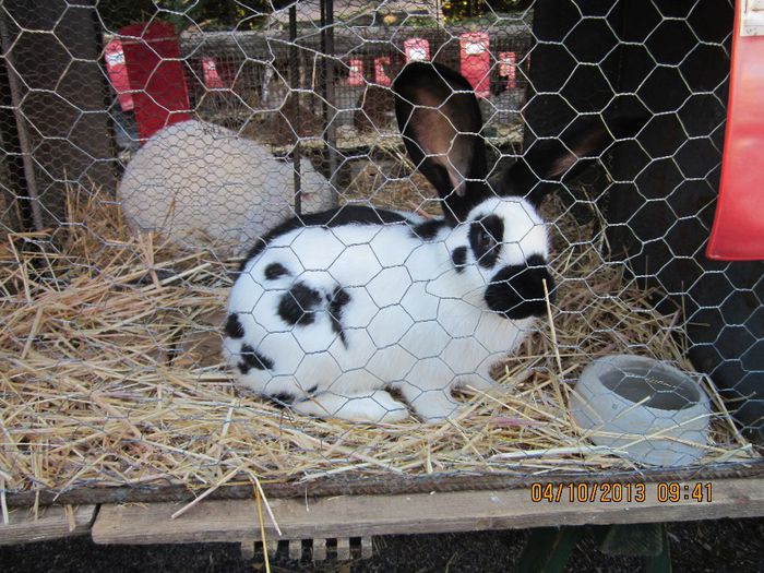 IMG_1329 - Expozitia din Rudno Slovacia