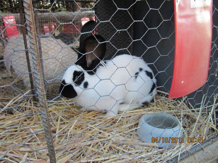 IMG_1330 - Expozitia din Rudno Slovacia