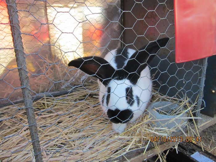 IMG_1331 - Expozitia din Rudno Slovacia