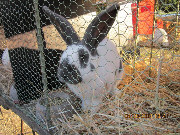 IMG_1332 - Expozitia din Rudno Slovacia