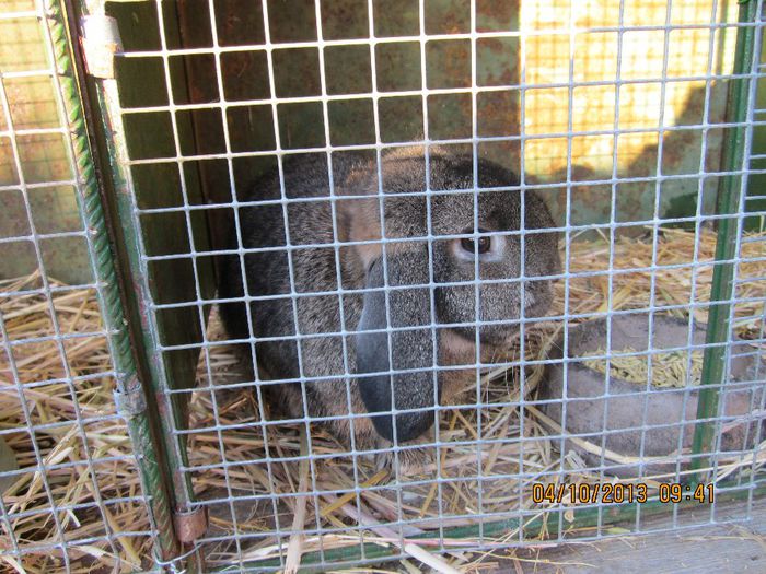 IMG_1333 - Expozitia din Rudno Slovacia