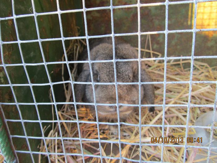 IMG_1334 - Expozitia din Rudno Slovacia