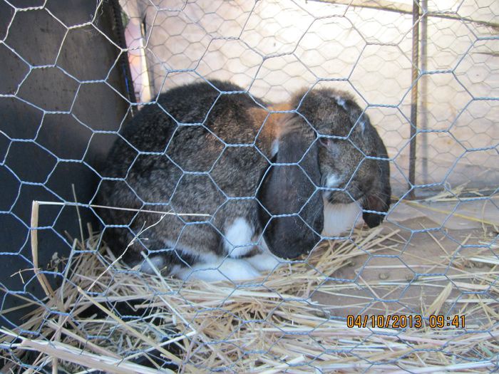 IMG_1335 - Expozitia din Rudno Slovacia