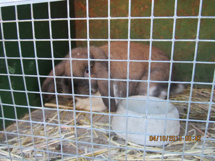 IMG_1336 - Expozitia din Rudno Slovacia