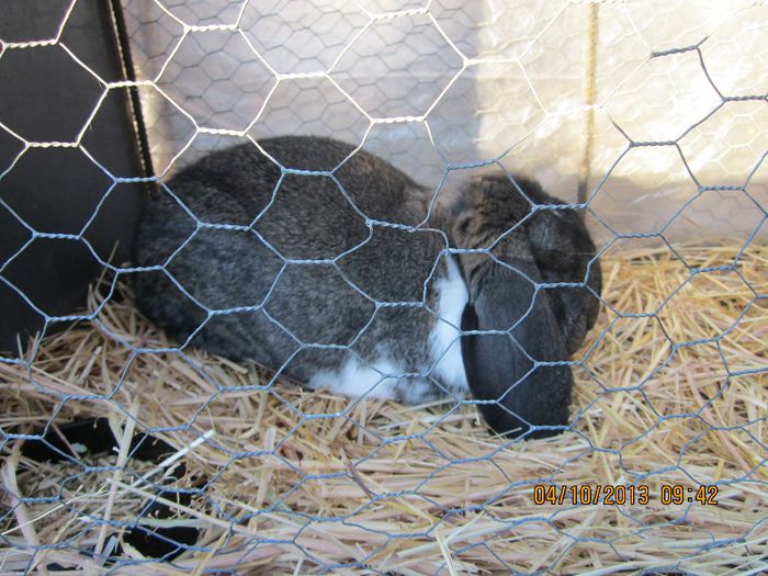 IMG_1337 - Expozitia din Rudno Slovacia