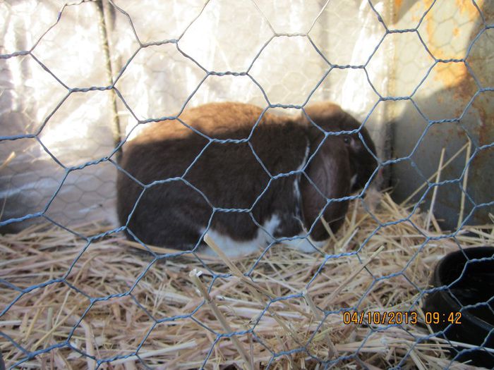 IMG_1339 - Expozitia din Rudno Slovacia