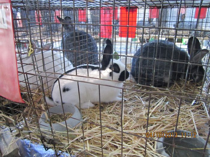 IMG_1439 - Expozitia din Rudno Slovacia